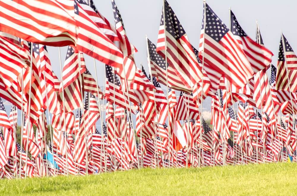 dozens of american flags on grass